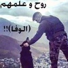 sabry_gamil1