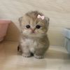 im3lll___
