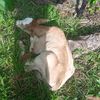 tonny8435