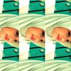 adisa.rania