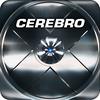 cerebro_b1