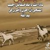 sdoar