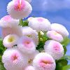 user2209828057141