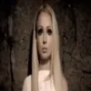 vlada_kolvorat