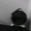 254_rollin