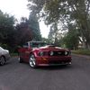 nbs_dilly