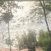 gaixausomaa
