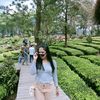 sripandinicahyani2