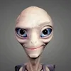 toliktroll