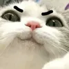 dyeaevil5kz1