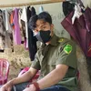 Minh Ken
