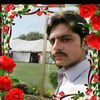 jamshahbaz025