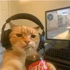 deff_notmycahh