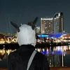 ジュディ