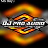 BJ PRO AUDIO