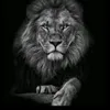 user41eceo7cij