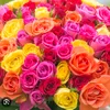 amoulabel12