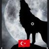 metin7810mert