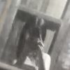 dalis._.514