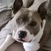 suzi74bella