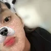 jenyzzzz_