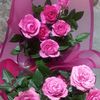 najat.obeid219