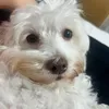 ttv.natiziinha