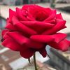 user1465314538014