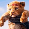 _simba_30.12