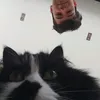 curlyto777