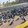 user5210360921648