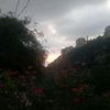 loulaseid09