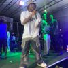 wizbeeb_official
