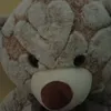 marexichubinidze