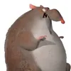 immfatrat