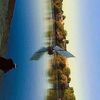 bashir.abuzaid