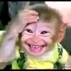 nour010150