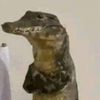 theraccoonking99