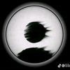 poeta.499