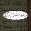 nouzhaameur