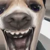 djndddnnssnrjcbsnrfh