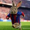 teamrabit
