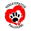 rescatepatita