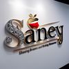 stg_saney5