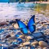 🦋 Lilian 🦋