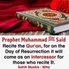 najjah256