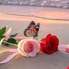 user7019439621706n