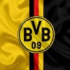 bvbpartner