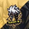 elexer18_gaming