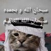bs..raeis